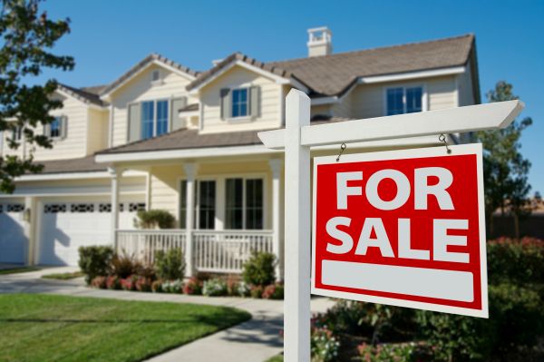 Real Estate